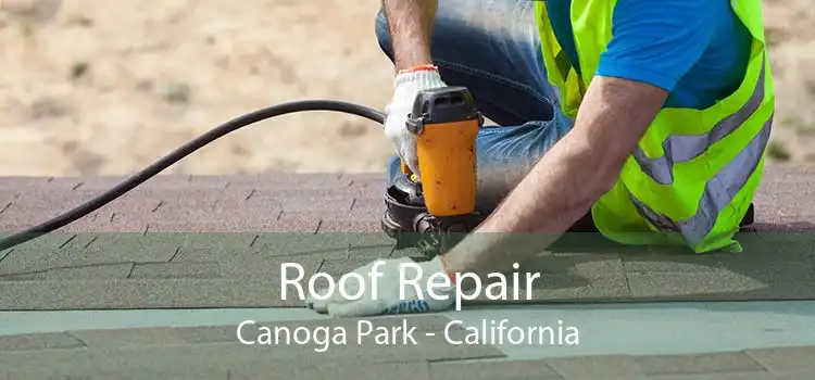 Roof Repair Canoga Park - California