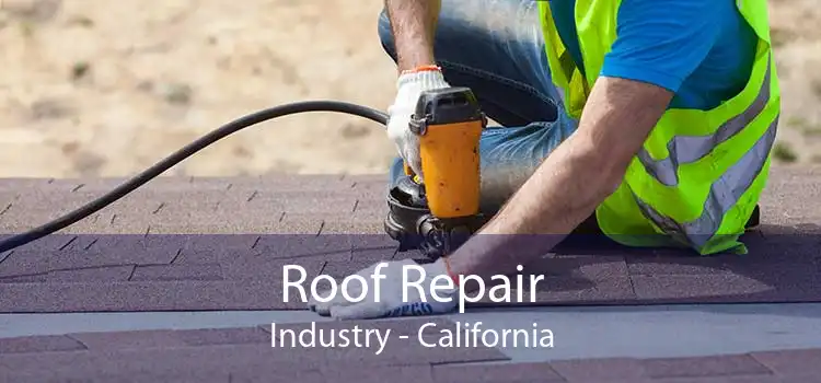 Roof Repair Industry - California