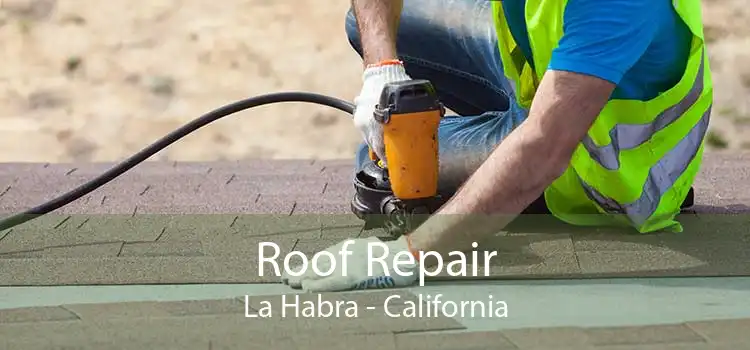 Roof Repair La Habra - California