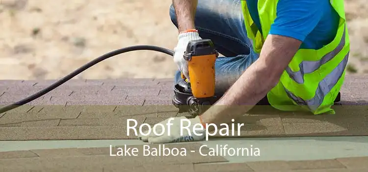 Roof Repair Lake Balboa - California