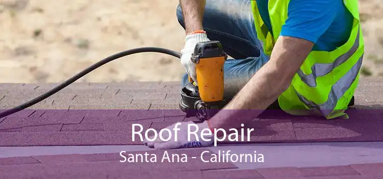 Roof Repair Santa Ana - California