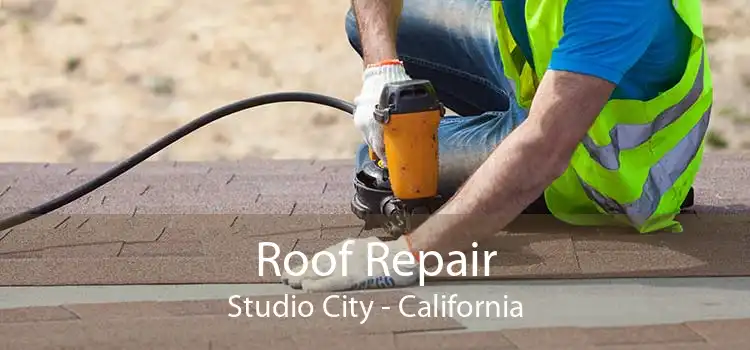 Roof Repair Studio City - California