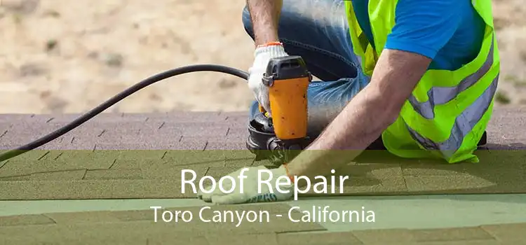 Roof Repair Toro Canyon - California