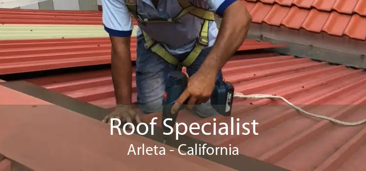 Roof Specialist Arleta - California