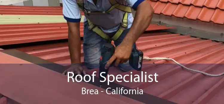 Roof Specialist Brea - California
