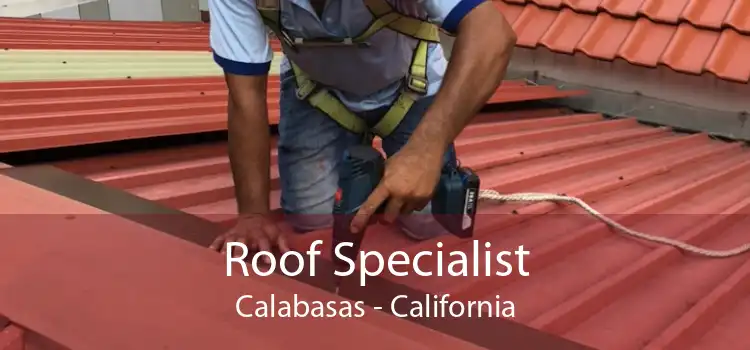 Roof Specialist Calabasas - California