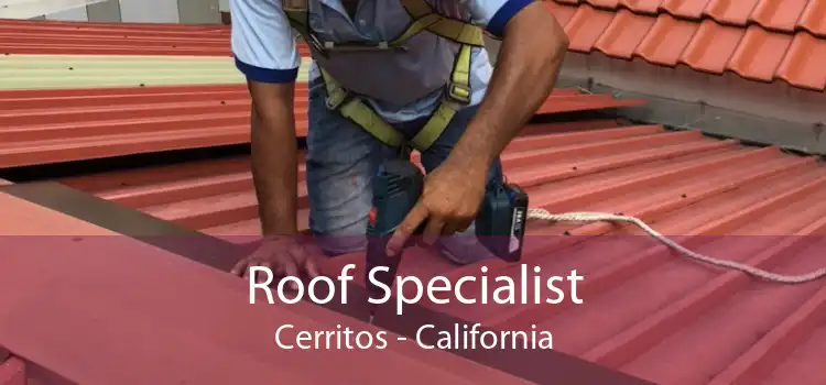 Roof Specialist Cerritos - California