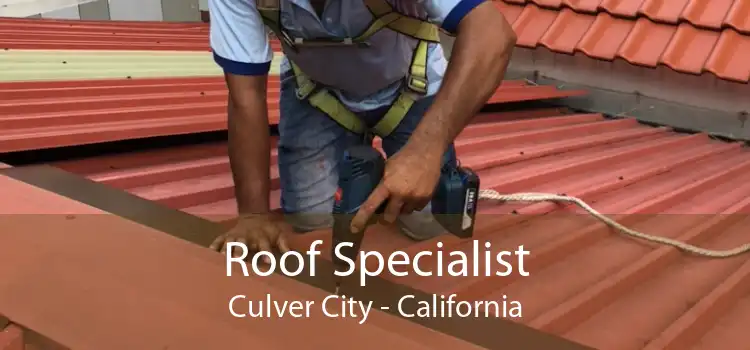 Roof Specialist Culver City - California