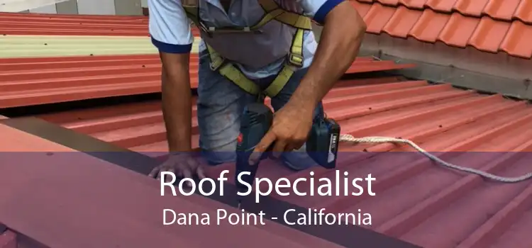 Roof Specialist Dana Point - California