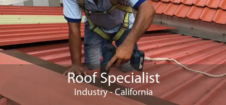 Roof Specialist Industry - California