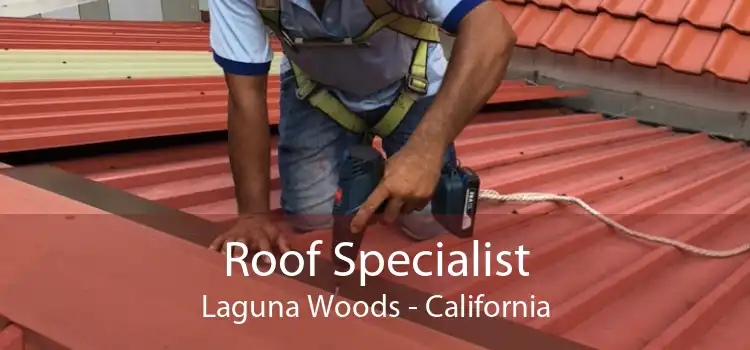 Roof Specialist Laguna Woods - California