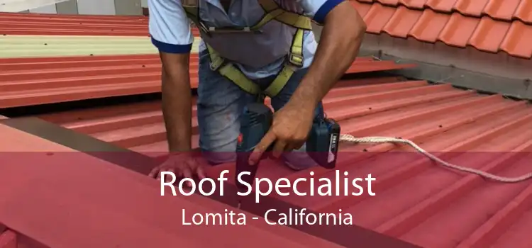 Roof Specialist Lomita - California