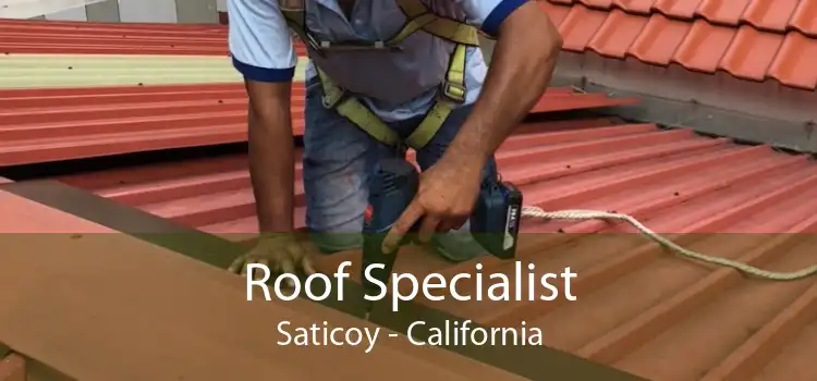 Roof Specialist Saticoy - California