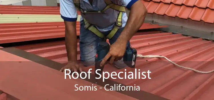 Roof Specialist Somis - California