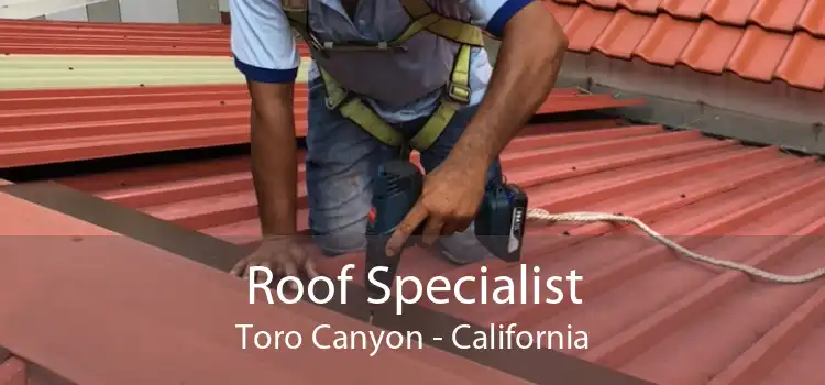Roof Specialist Toro Canyon - California