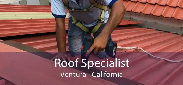 Roof Specialist Ventura - California