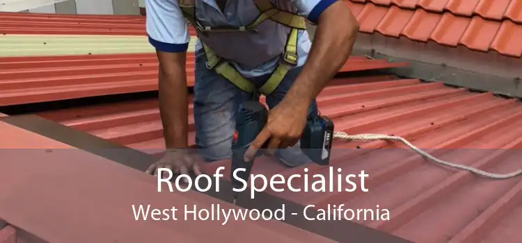 Roof Specialist West Hollywood - California