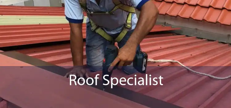 Roof Specialist 