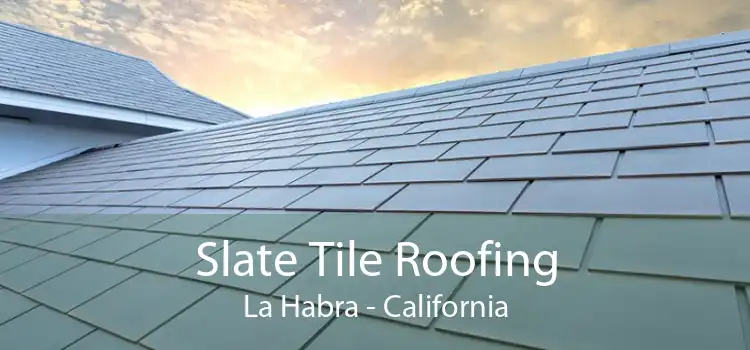 Slate Tile Roofing La Habra - California