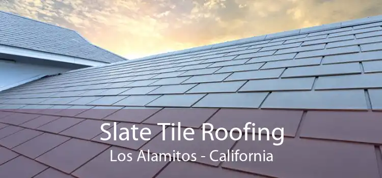 Slate Tile Roofing Los Alamitos - California