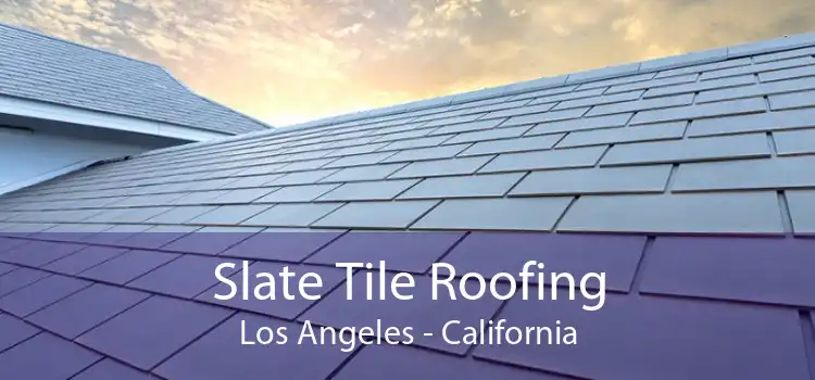 Slate Tile Roofing Los Angeles - California