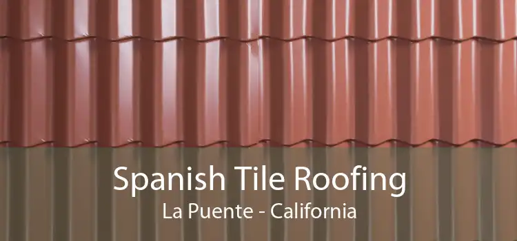 Spanish Tile Roofing La Puente - California