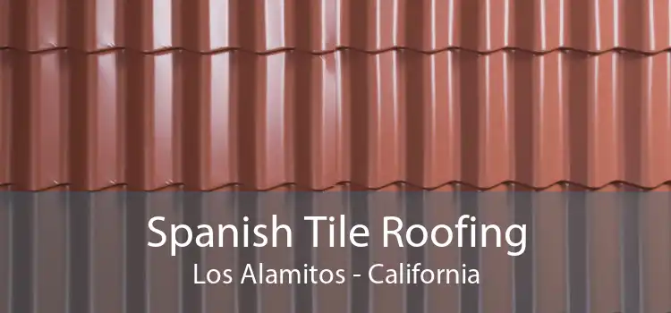 Spanish Tile Roofing Los Alamitos - California