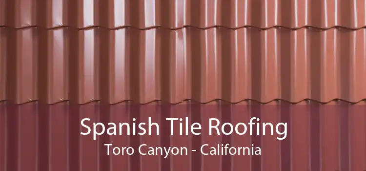 Spanish Tile Roofing Toro Canyon - California
