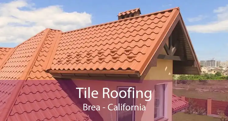 Tile Roofing Brea - California