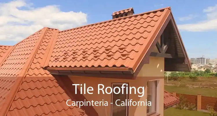 Tile Roofing Carpinteria - California