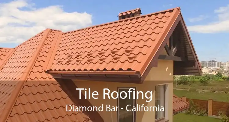 Tile Roofing Diamond Bar - California