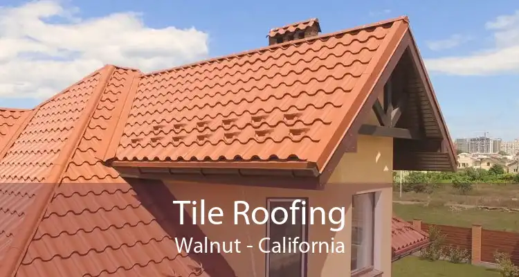 Tile Roofing Walnut - California