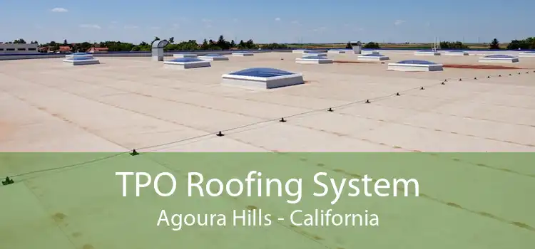 TPO Roofing System Agoura Hills - California