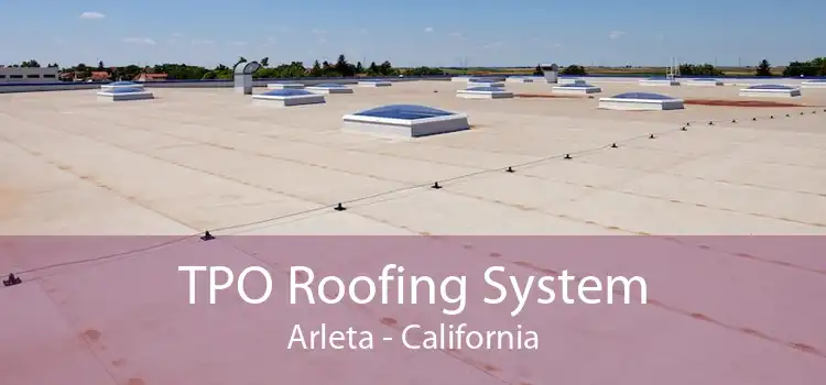 TPO Roofing System Arleta - California