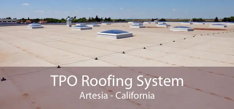 TPO Roofing System Artesia - California