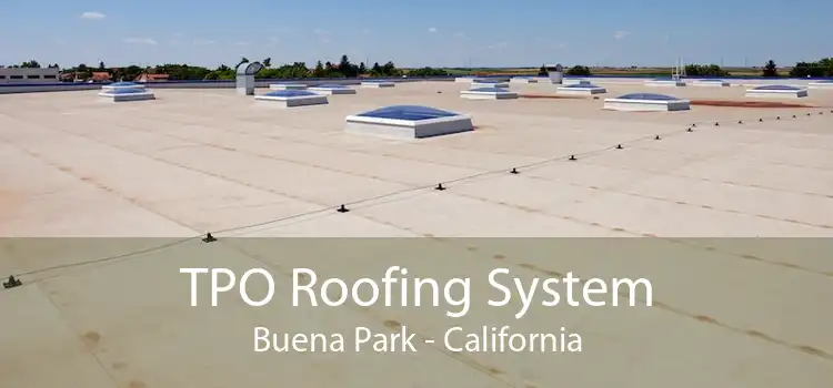 TPO Roofing System Buena Park - California