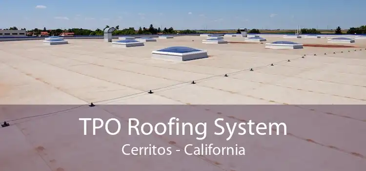 TPO Roofing System Cerritos - California