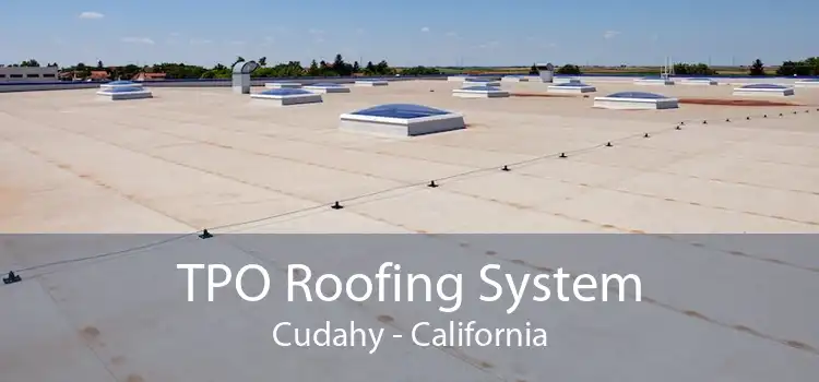 TPO Roofing System Cudahy - California