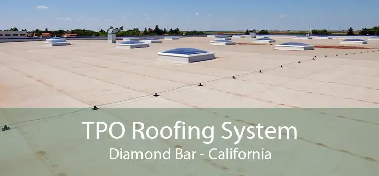 TPO Roofing System Diamond Bar - California