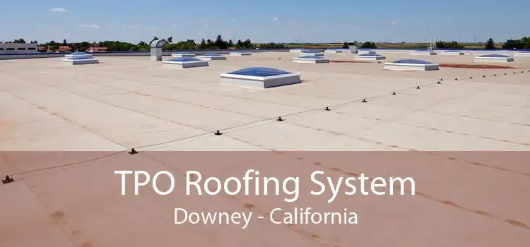 TPO Roofing System Downey - California