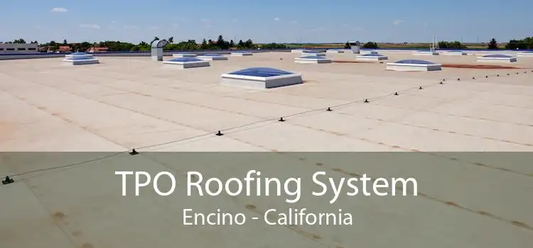 TPO Roofing System Encino - California