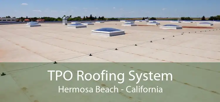 TPO Roofing System Hermosa Beach - California