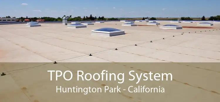 TPO Roofing System Huntington Park - California