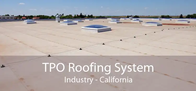 TPO Roofing System Industry - California