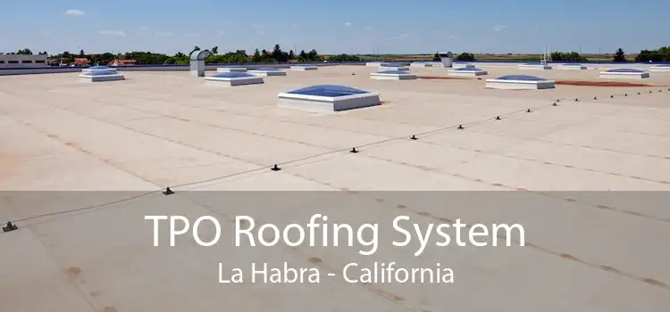 TPO Roofing System La Habra - California