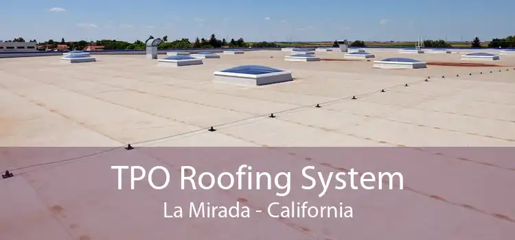 TPO Roofing System La Mirada - California