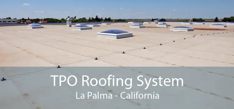 TPO Roofing System La Palma - California