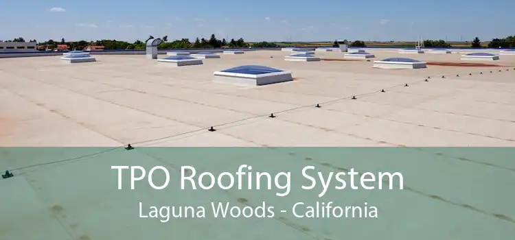 TPO Roofing System Laguna Woods - California