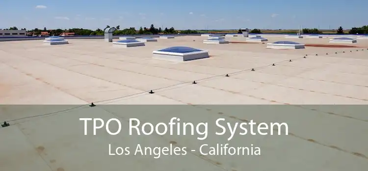 TPO Roofing System Los Angeles - California