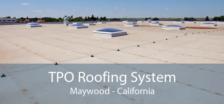 TPO Roofing System Maywood - California